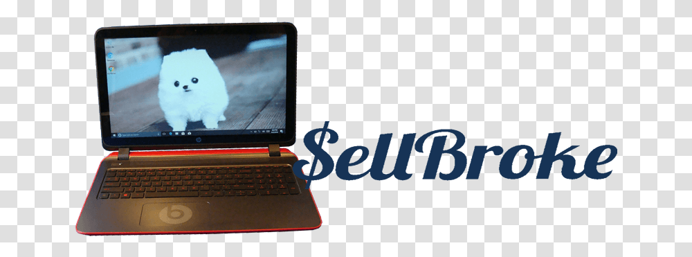 Netbook, Laptop, Pc, Computer, Electronics Transparent Png