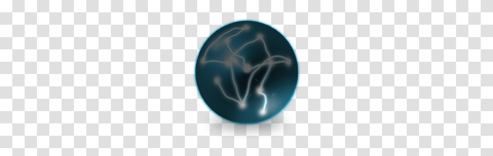 Network Icons, Technology, Sphere, Sea Life, Animal Transparent Png