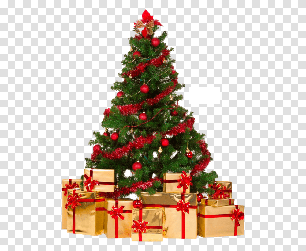 Network Tree Day Decorations Graphics Christmas Portable, Christmas Tree, Ornament, Plant, Bush Transparent Png
