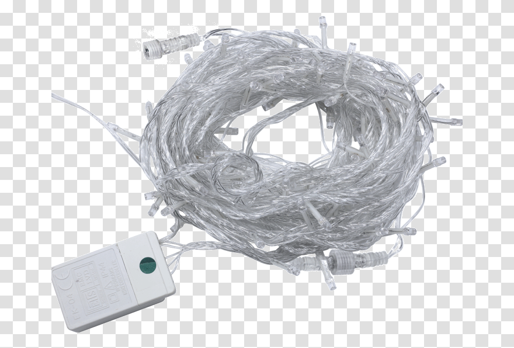 Networking Cables, Bird, Animal Transparent Png