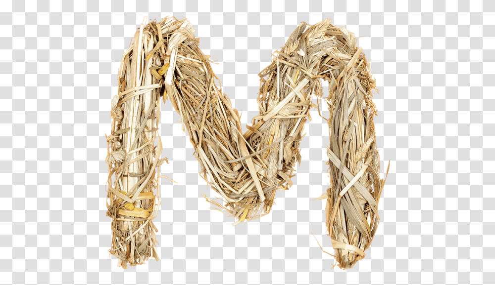Networking Cables, Wood, Plant, Cuff, Gold Transparent Png