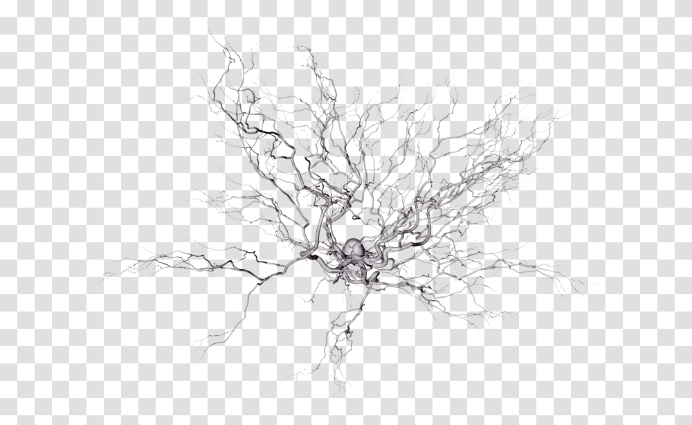 Neural Network Electron Microscope, Light, Pattern Transparent Png