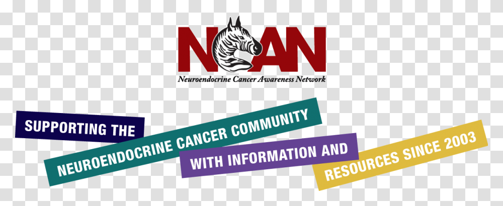 Neuroendocrine Cancer Awareness Network Illustration, Label, Paper, Sticker Transparent Png
