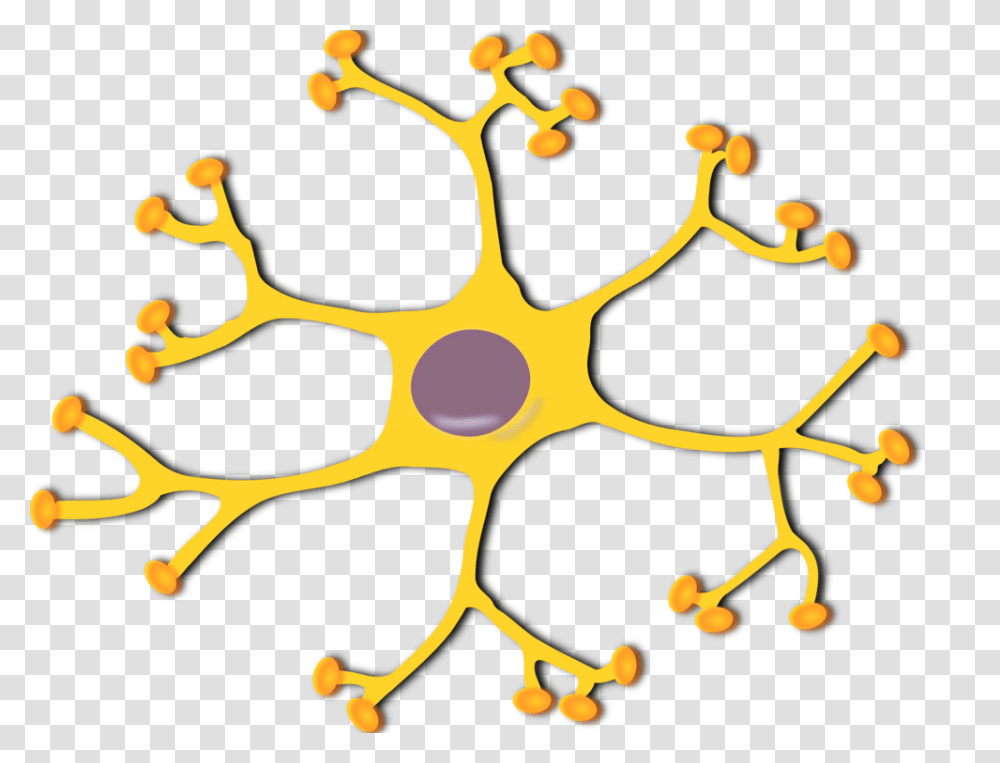 Neuron Brain Nervous System Nerve Cell, Peel, Star Symbol, Rattle Transparent Png