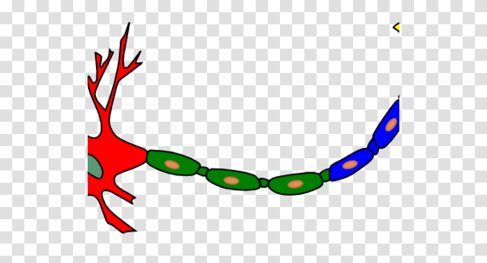 Neuron Clipart Biology Art Free Clip Art Stock Illustrations, Accessories, Accessory, Glasses, Scissors Transparent Png