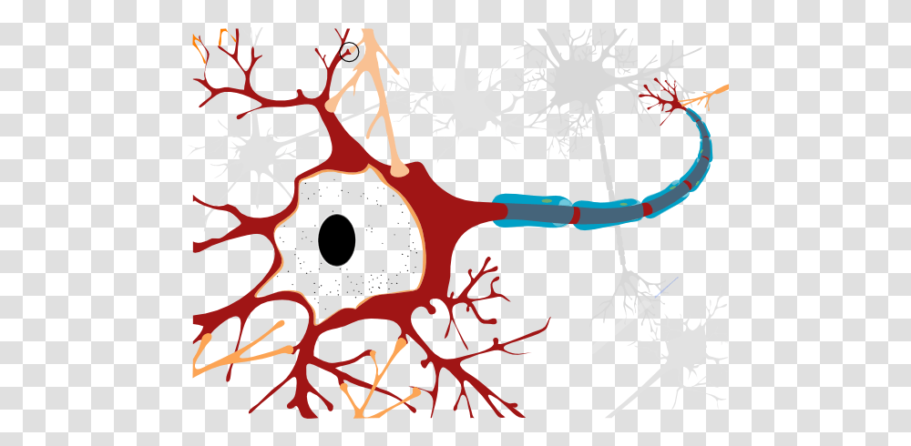 Neuron Clipart Clip Art, Drawing, Stain Transparent Png