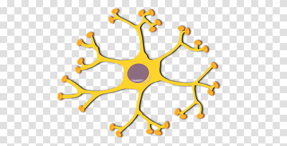 Neuron Clipart Clip Art, Plant, Star Symbol Transparent Png