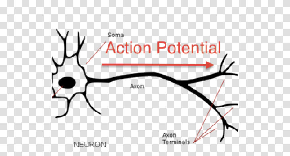Neuron Clipart Neuro, Outdoors, Plan, Plot Transparent Png