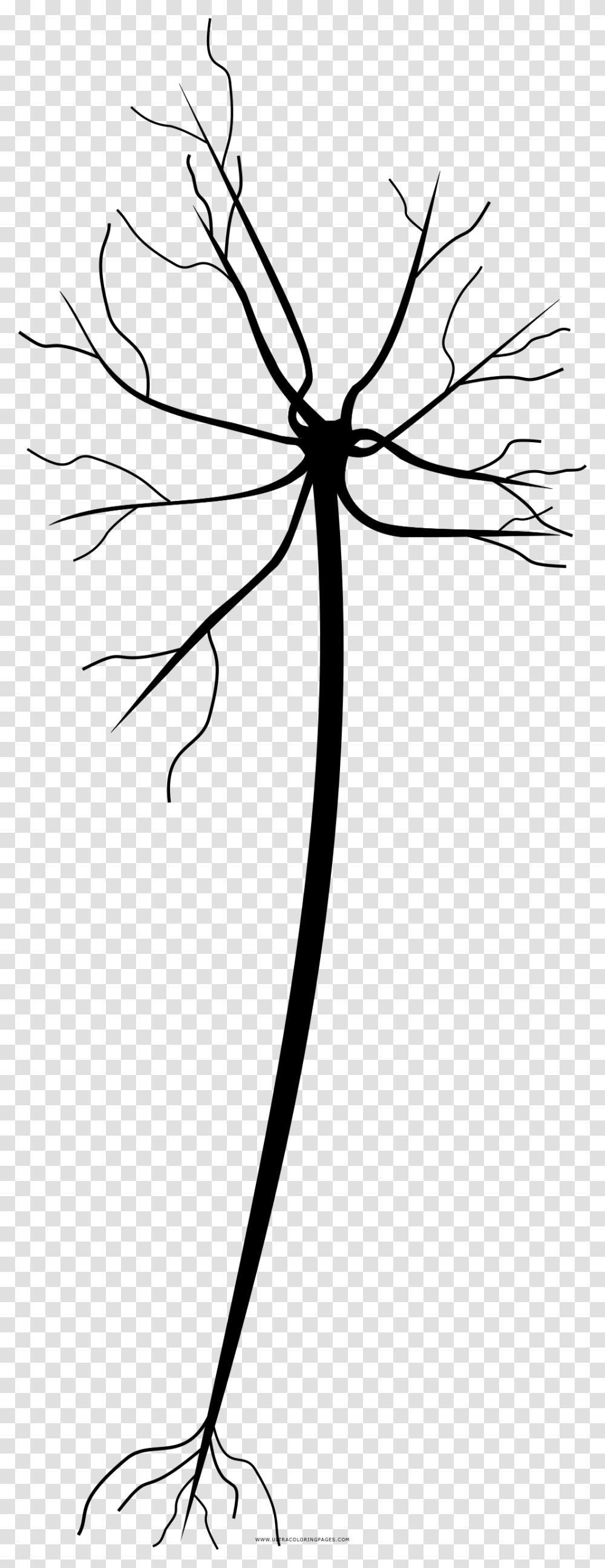 Neuron Coloring Page, Gray, World Of Warcraft Transparent Png