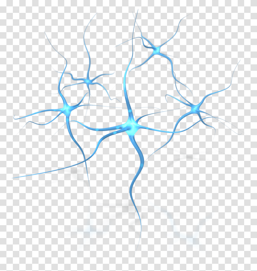 Neuron Flower Human Free Download Brain Neurons With Background, Spider, Invertebrate, Animal, Arachnid Transparent Png