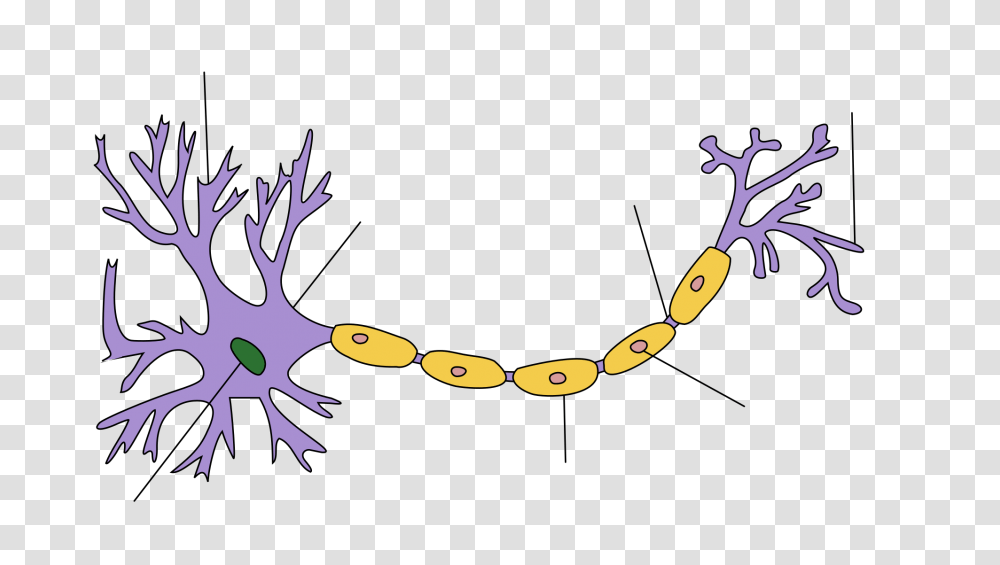 Neuron Hand Tuned, Antler, Accessories, Accessory Transparent Png