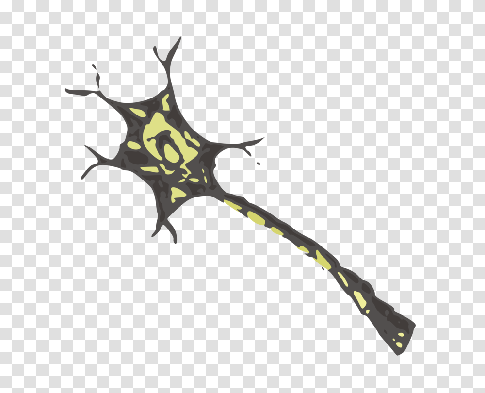 Neuron Nervous System Cell Brain Nerve, Axe, Tool, Weapon, Weaponry Transparent Png