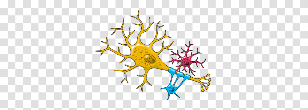 Neuron, Pattern, Fractal, Ornament, Scissors Transparent Png