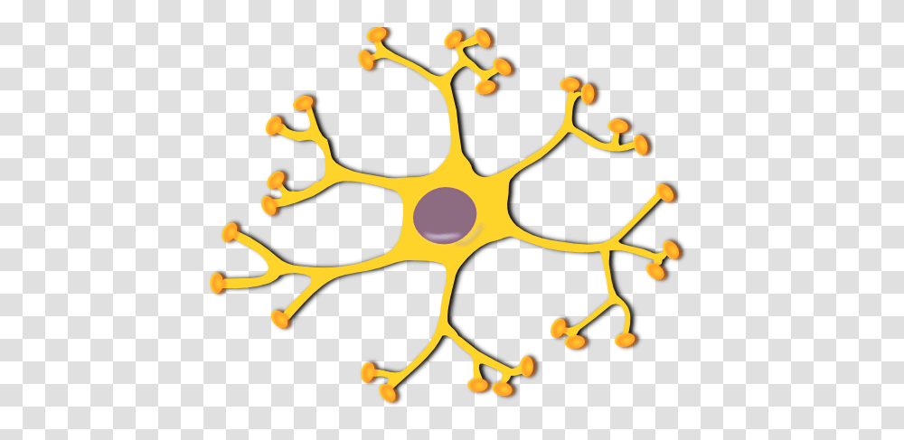 Neuron, Peel, Rattle, Sun Transparent Png