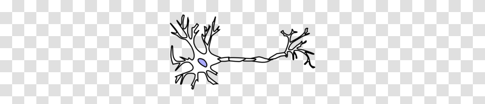 Neuron, Silhouette, Stencil, Animal Transparent Png