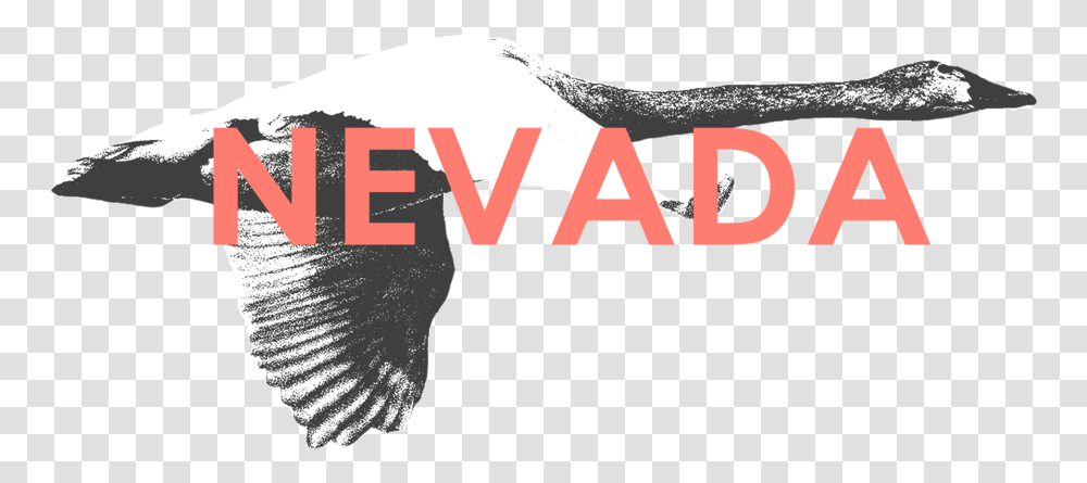 Nevada Golden Eagle, Leisure Activities, Outdoors Transparent Png