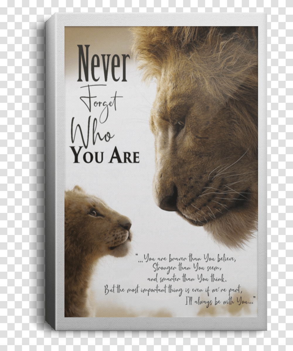 Never Forget Who You Are Lion King Poster, Bear, Wildlife, Mammal Transparent Png