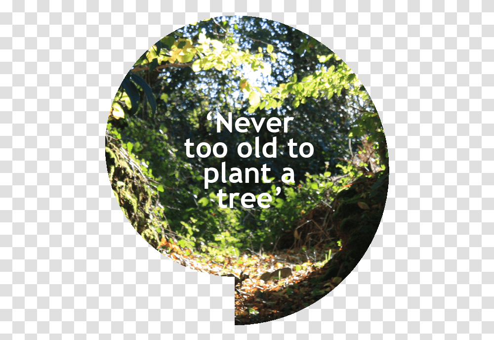Never Too Old To Plant A Tree Label, Fisheye, Sphere, Vegetation, Window Transparent Png