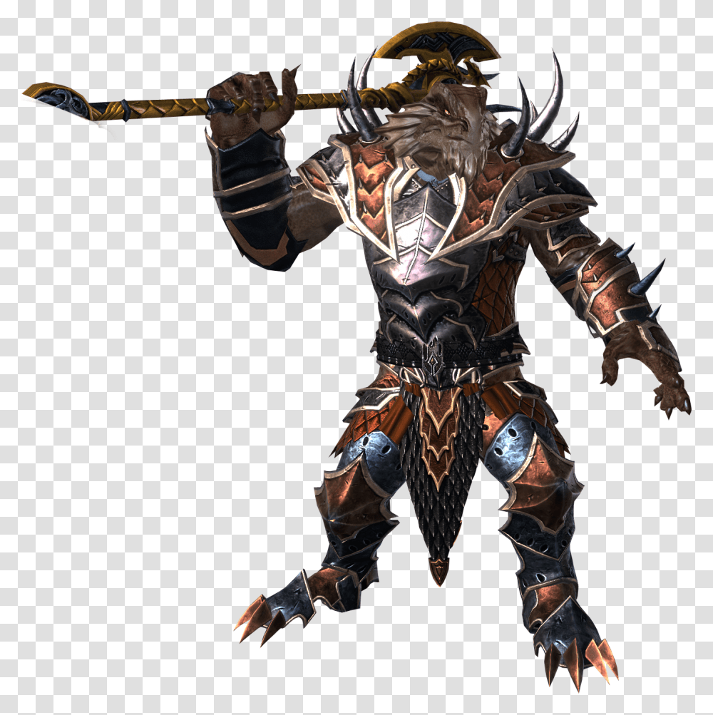 Neverwinter Personnage Download Dungeons And Dragons Dragonborn, Human, Knight, Ninja, Bronze Transparent Png