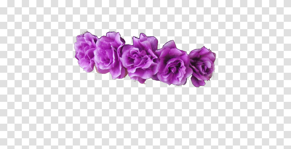 New 138 Purple Flower Crown Purple Flower Crowns, Plant, Geranium, Blossom, Dahlia Transparent Png