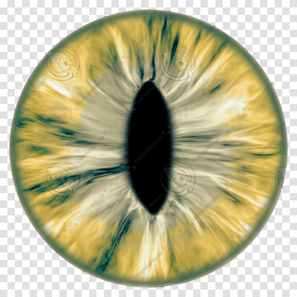 New 20 Eye Lens For Editing Eyes Lens Download Eye Texture, Sphere, Plant, Photography, Fruit Transparent Png