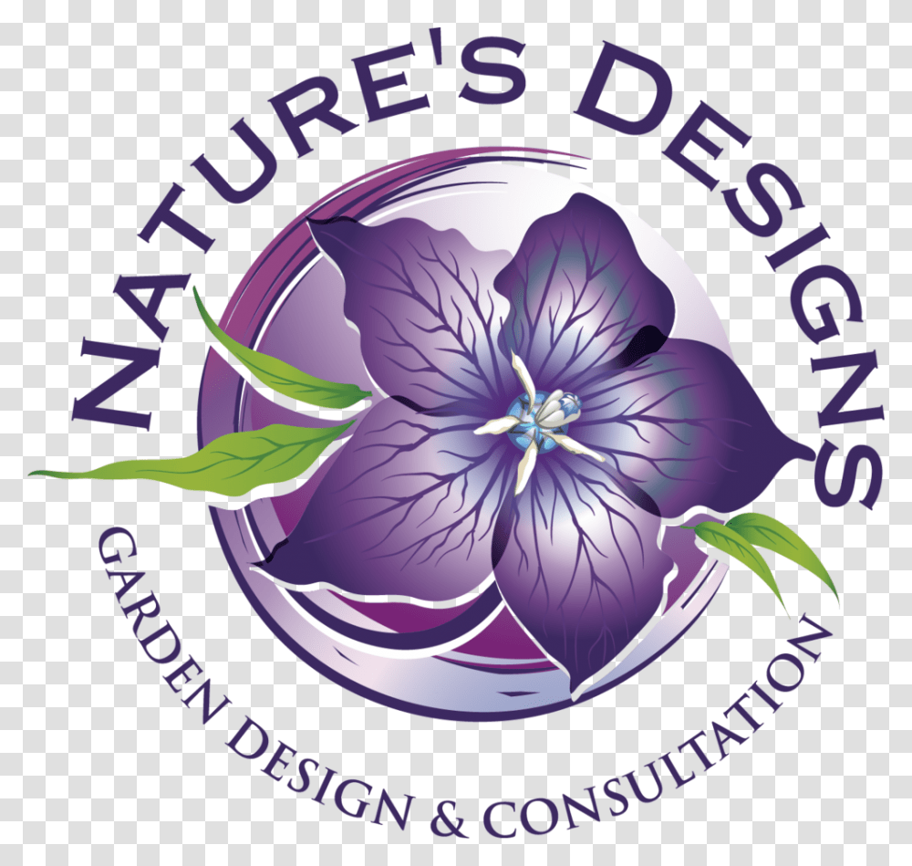 New Background Flowers Design, Plant, Purple, Poster Transparent Png