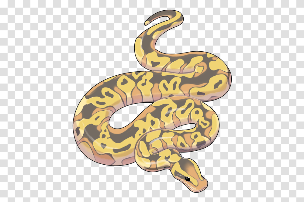 New Ball Python Artavailable At Redbubble Python Snake Art, Animal, Reptile, Rock Python, Anaconda Transparent Png