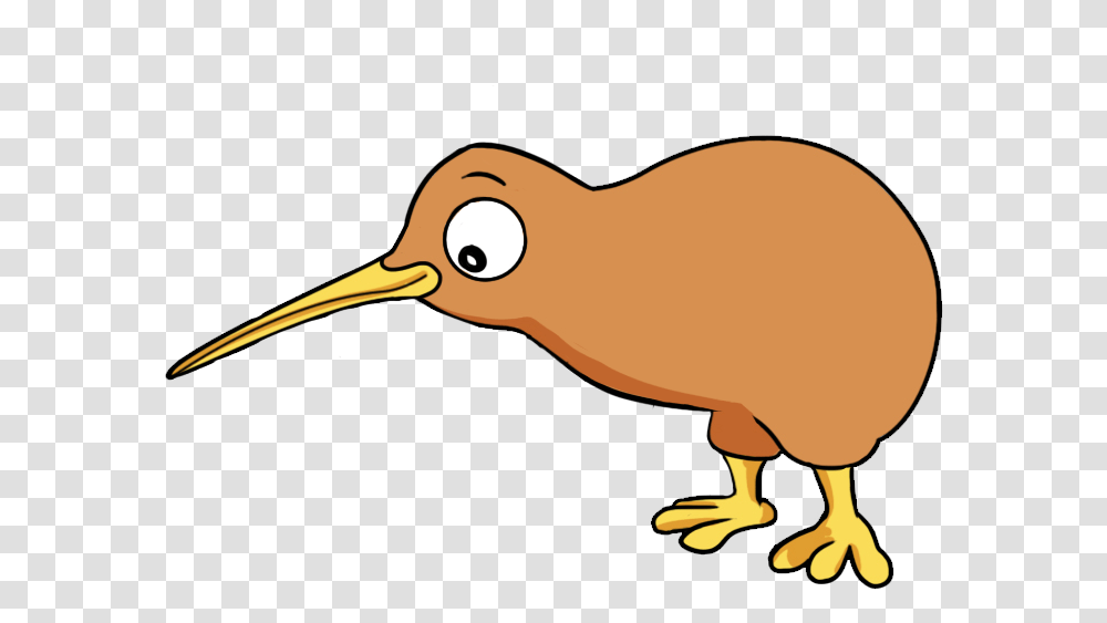New Bird Clipart Kiwi Bird Drawing Easy, Animal, Beak, Clothing Transparent Png
