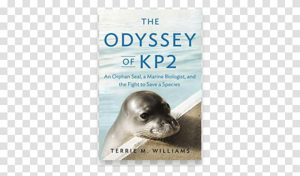 New Book By Ucsc Biologist Highlights Efforts To Save Steller Sea Lion, Mammal, Sea Life, Animal, Flyer Transparent Png