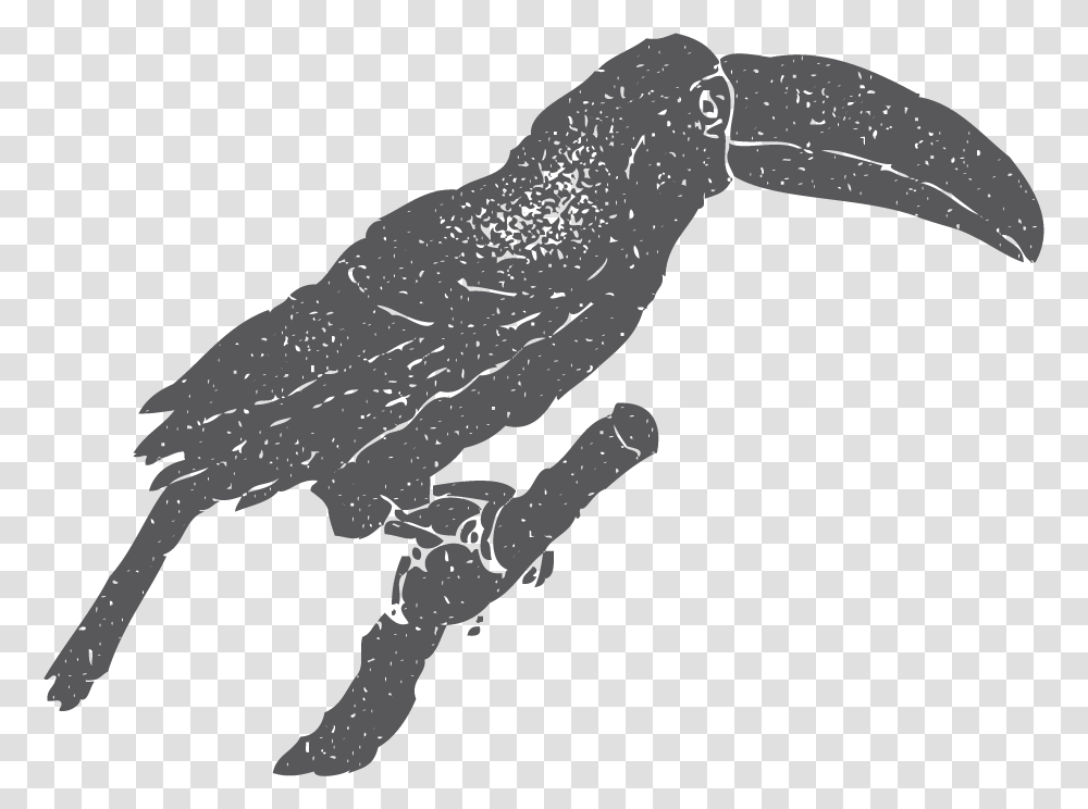 New Caledonian Crow, Silhouette, Animal, Bird, Blackbird Transparent Png