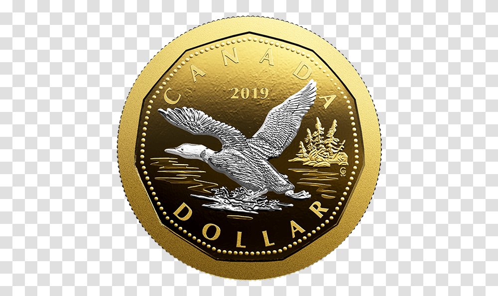 New Canadian Loonie 2019, Gold, Bird, Animal, Coin Transparent Png