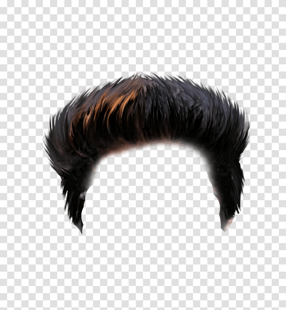New Cb Editing Hair 2019 Tutorial Photoshop Cc Hair Rock Hair, Bird, Animal, Mammal, Wildlife Transparent Png