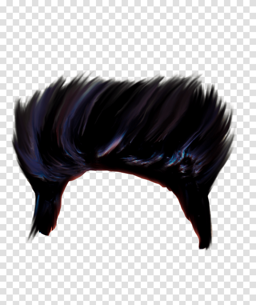 New Cb Hair, Bird, Animal, Chicken, Mammal Transparent Png