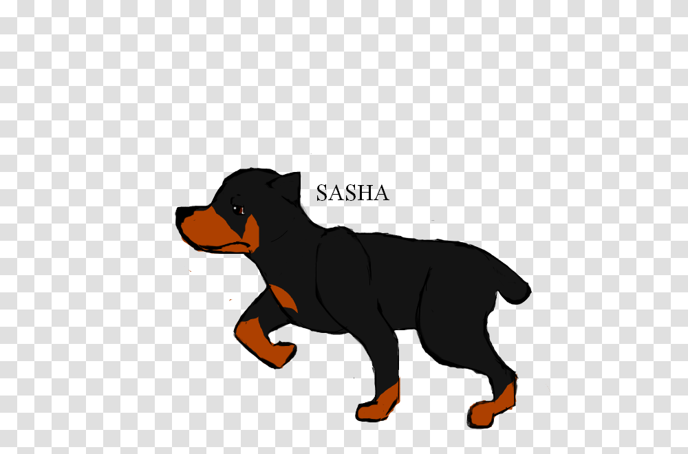 New Character, Animal, Mammal, Horse, Wolf Transparent Png