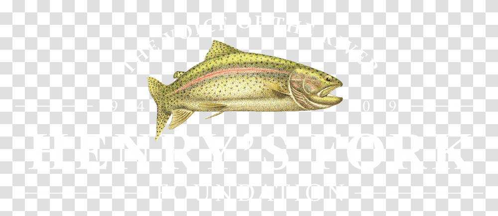 New Color Logo White Bobby Sands Mural, Coho, Fish, Animal, Trout Transparent Png