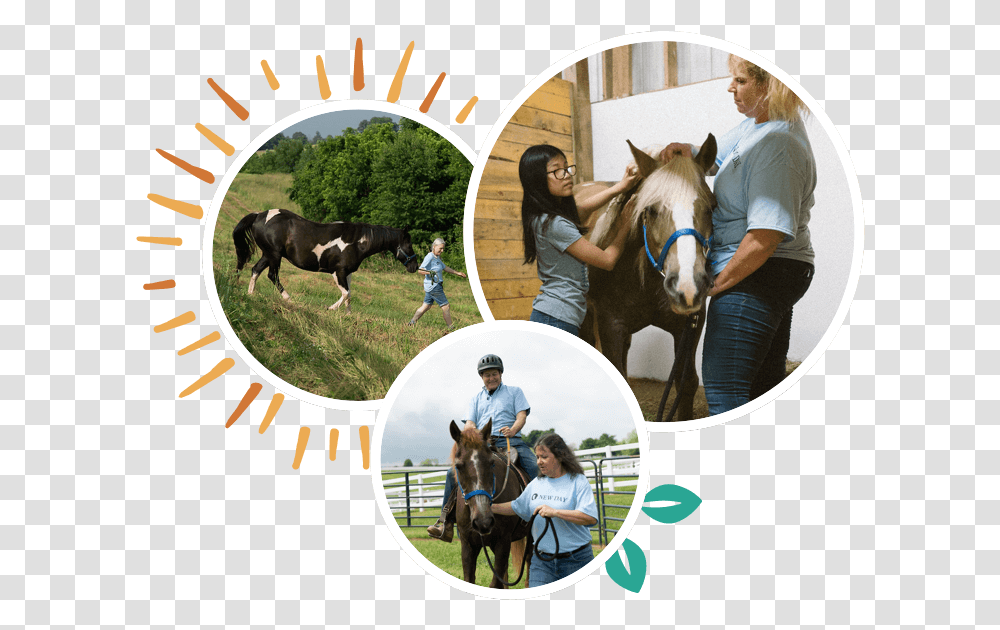 New Day Ranch Stallion, Person, Horse, Mammal, Animal Transparent Png