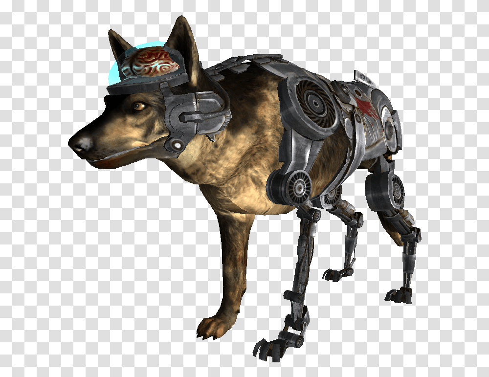 New Fallout New Vegas Dog, Horse, Mammal, Animal, Harness Transparent Png