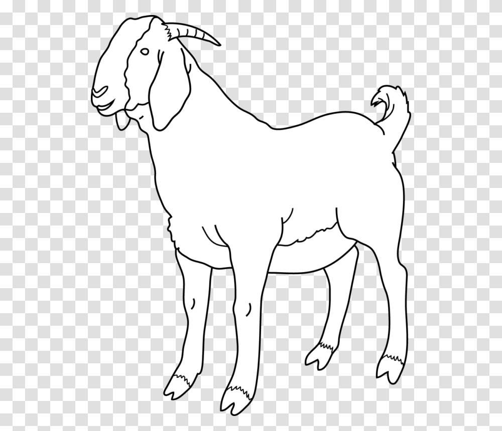New Free Images See Black And White Goat Clipart, Mammal, Animal, Person, Human Transparent Png
