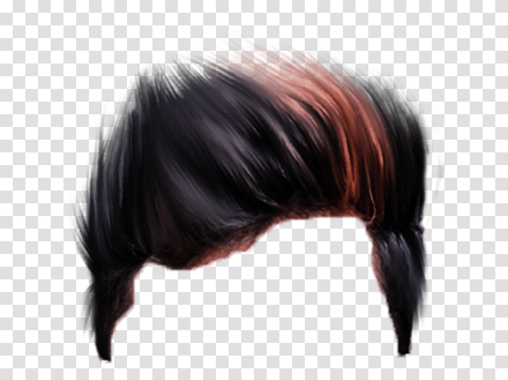 New Hairstyle 2019 Boy, Mammal, Animal, Horse, Person Transparent Png