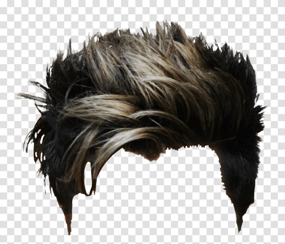 New Hairstyles For Men 2014 Round Face, Horse, Mammal, Animal, Fur Transparent Png