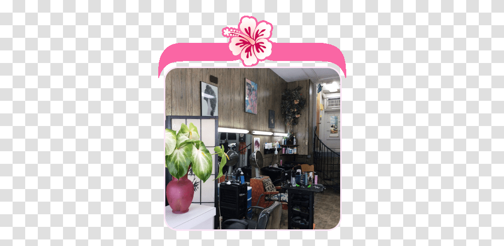 New Image Unisex Beauty Salon Hilo Hi Flowerpot, Plant, Interior Design, Indoors, Housing Transparent Png