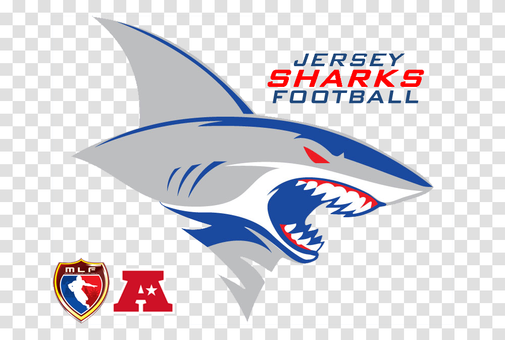 New Jersey Sharks Football, Sea Life, Animal, Fish, Mammal Transparent Png