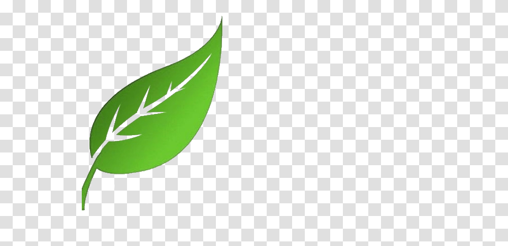 New Leaf, Plant, Green, Animal Transparent Png