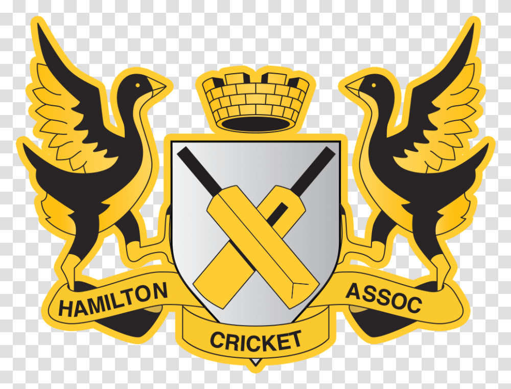 New Logo For Cricket Team, Emblem, Dynamite, Bomb Transparent Png