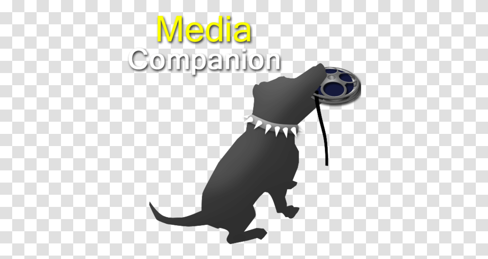 New Logo For Media Companion Kracht, Person, Pet, Animal, Mammal Transparent Png