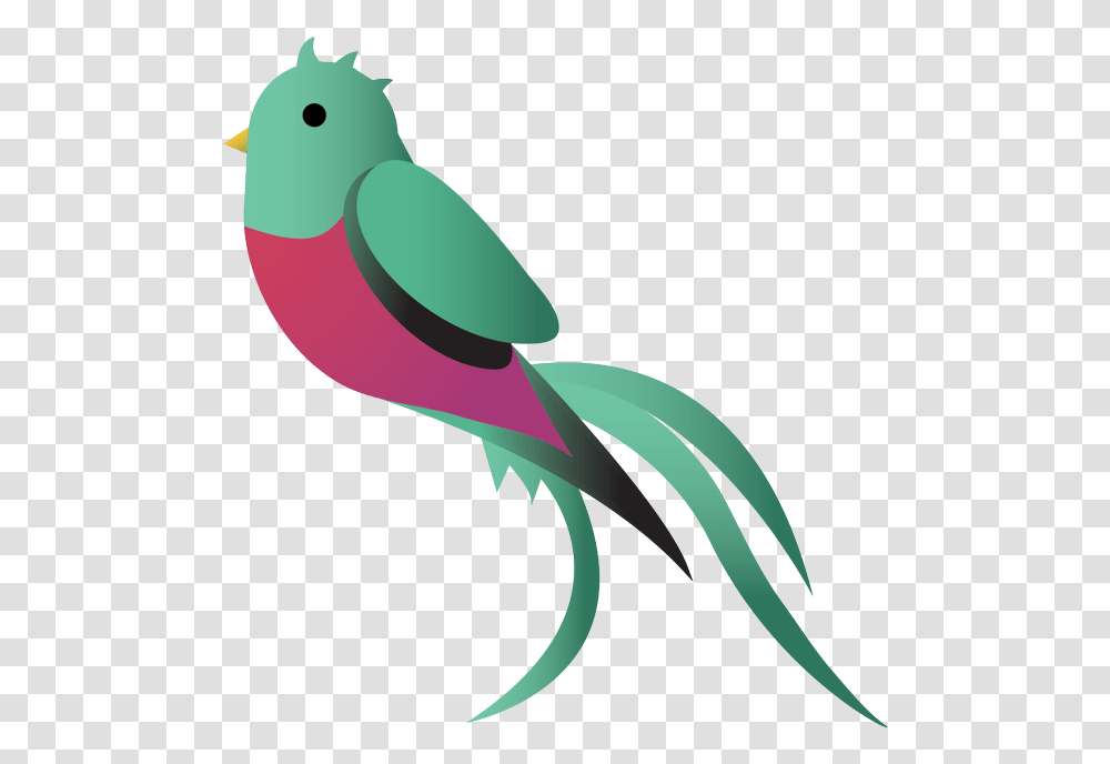 New Logo Is A Illustration, Animal, Sea Life, Food, Bird Transparent Png