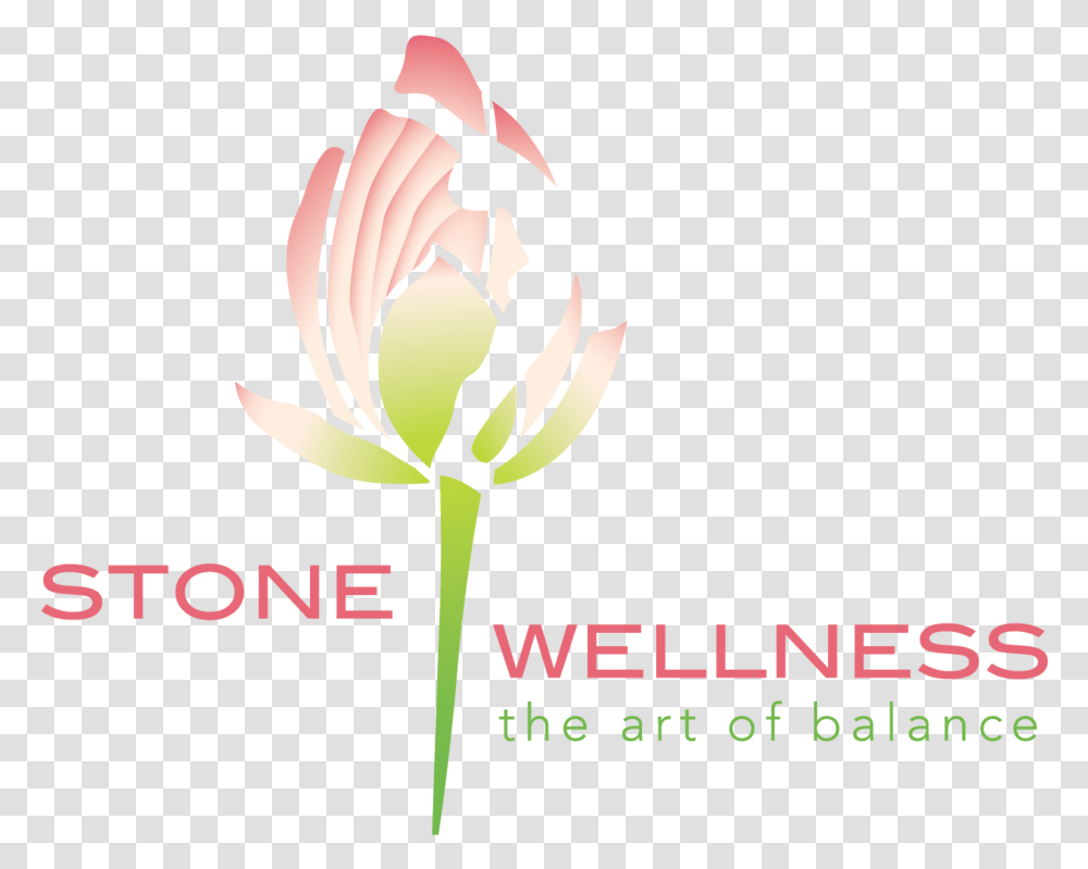 New Logo, Plant, Rose, Flower, Blossom Transparent Png
