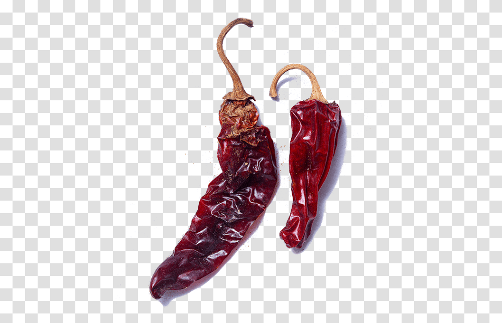 New Mexican Hot Chiles 3 Bird's Eye Chili, Plant, Pepper, Vegetable, Food Transparent Png