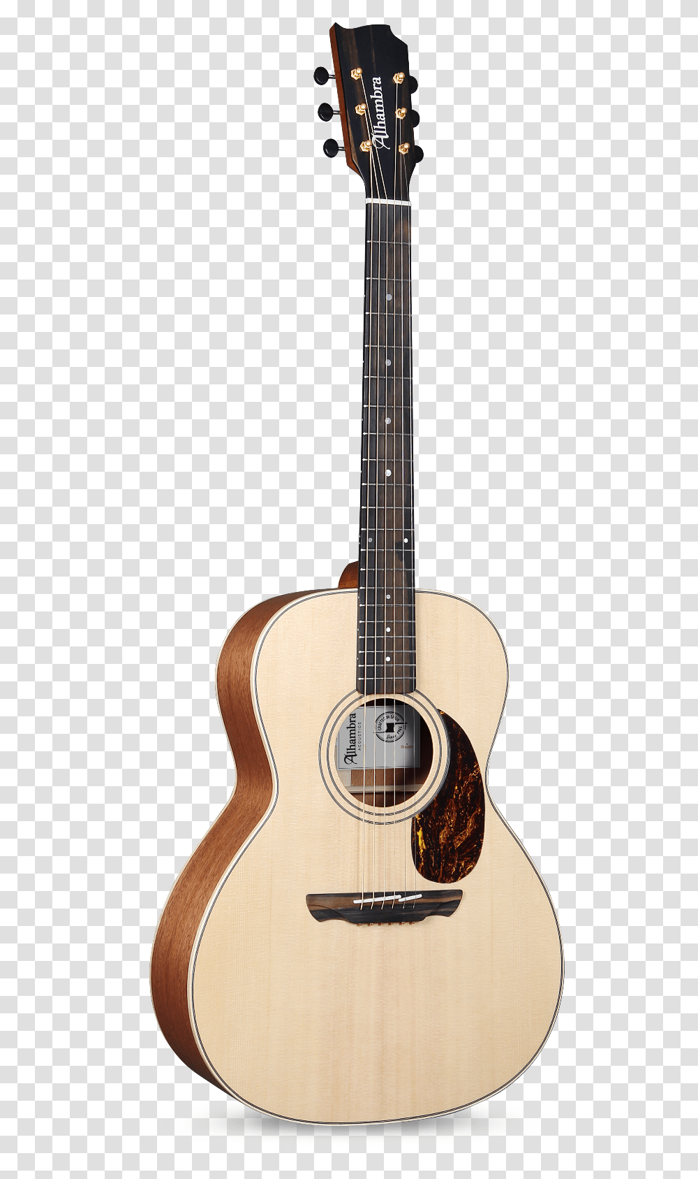 New Models Of Alhambra Acoustic Guitars Sigma Gme, Leisure Activities, Musical Instrument, Bass Guitar, Lute Transparent Png