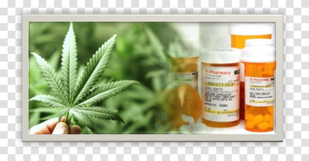New On Line Cannabis Workplace Safety Course Plant Based Pharmaceuticals, Hemp, Lotion, Bottle Transparent Png